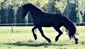 Re-Integratie bovenaan